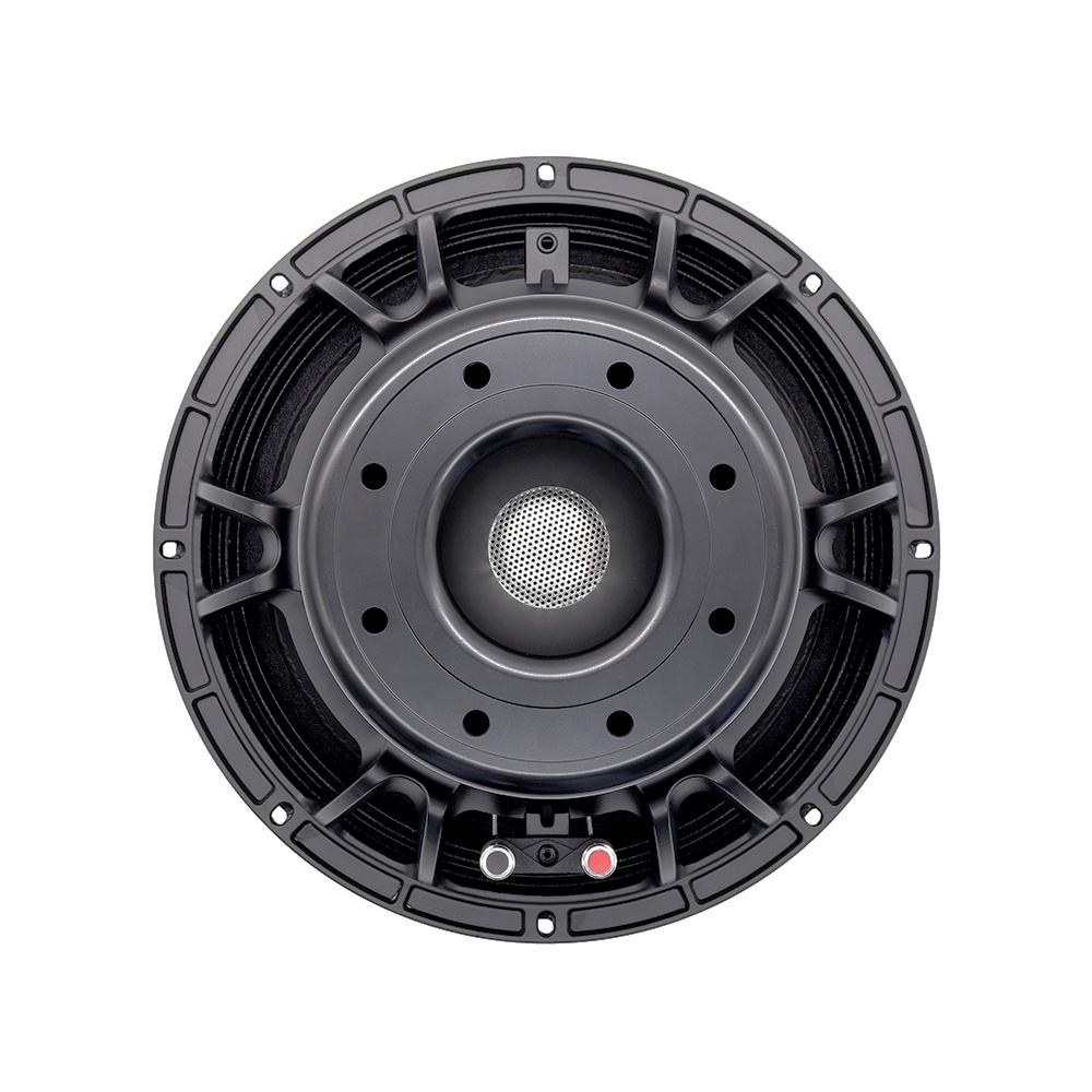 Subwoofer - 12DS Pro Audio Equipment 12'' Lautsprecher