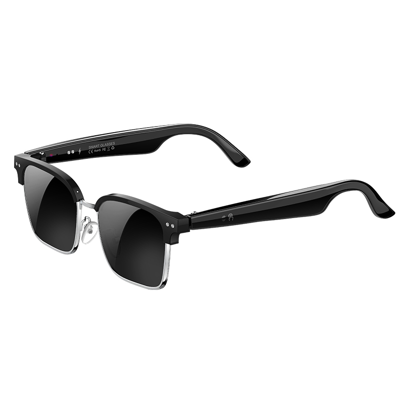 Speaker Enclosure - W100D KI-Smart-Brille Echtzeit-Übersetzung in 164 Sprachen