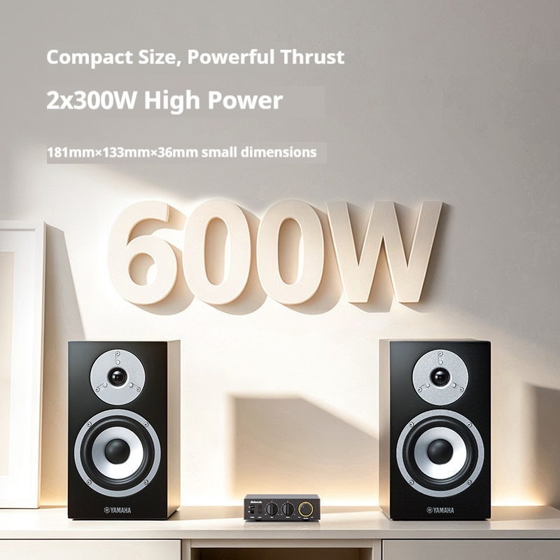 FiiO LEVEL1 Verstärker High-De – Sbc Audio Amplifier Bewertung und Preis