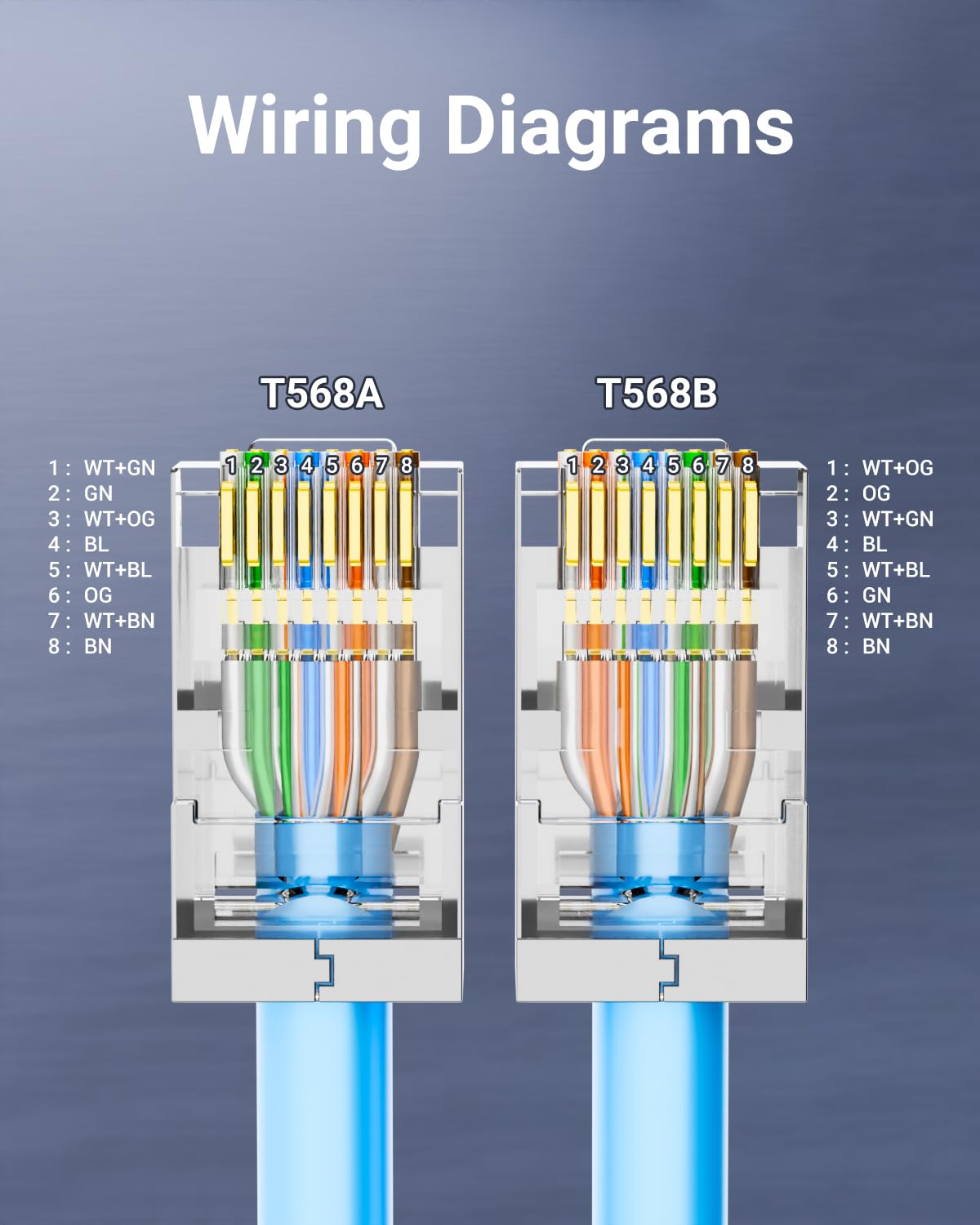 Cat 6 geschirmte RJ45-Durchgan – Rj45 Jack Bewertung und Preis