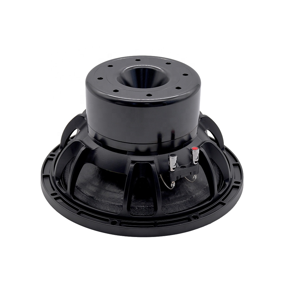 12DS Pro Audio Equipment 12''  – Subwoofer Bewertung und Preis