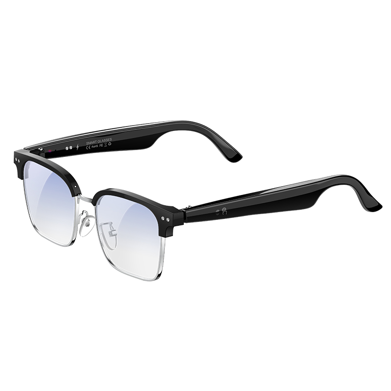 W100D KI-Smart-Brille Echtzeit – Speaker Enclosure Bewertung und Preis