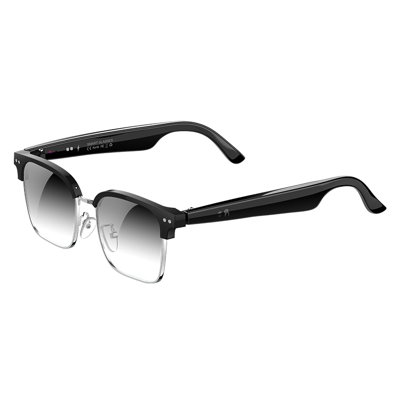 W100D KI-Smart-Brille Echtzeit – Speaker Enclosure Bewertung und Preis